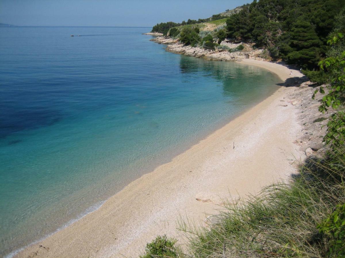 Villa Lipa Dora Мурвица Экстерьер фото